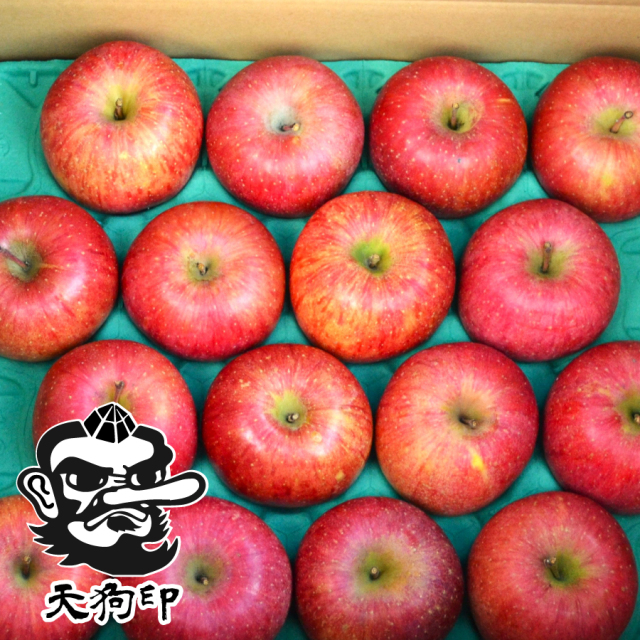 ホームページ2020