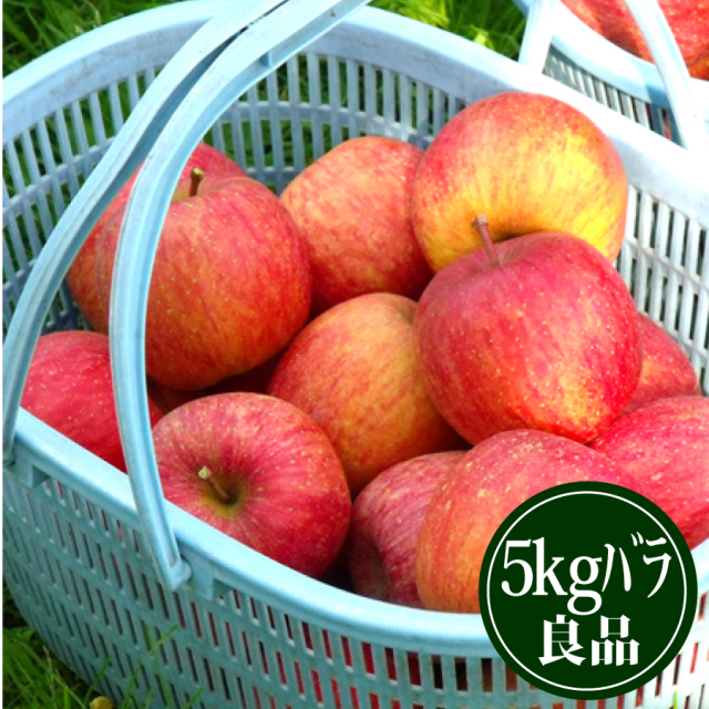 【R-7】豊田のふじりんご5kgバラ詰 良品