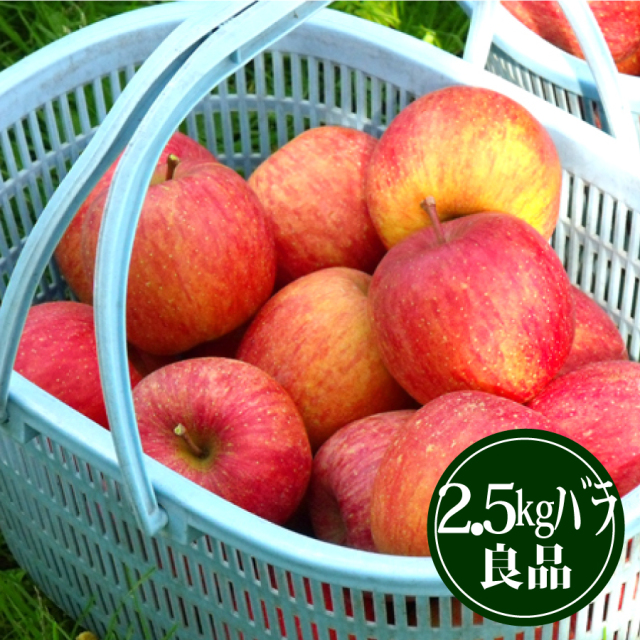 【R-6】豊田のふじりんご2.5kgバラ詰 良品