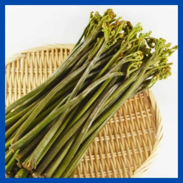 [S-11]天然わらび1kg