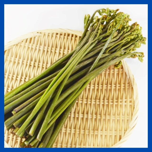 [S-10]天然わらび500g