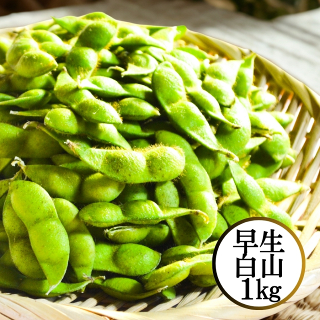 鶴岡産 早生白山だだちゃ豆1kg