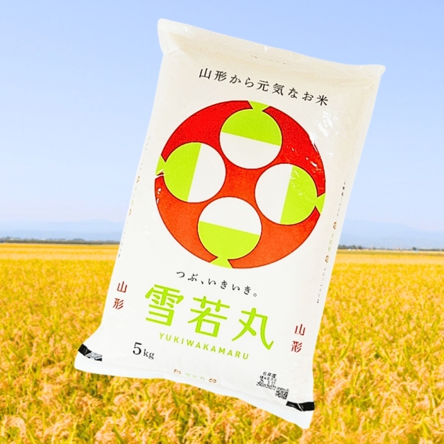 令和7年産 新米 山形県産 雪若丸5kg