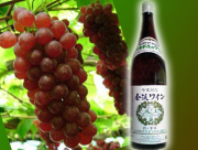 山形産ぶどう100％ワイン（白）