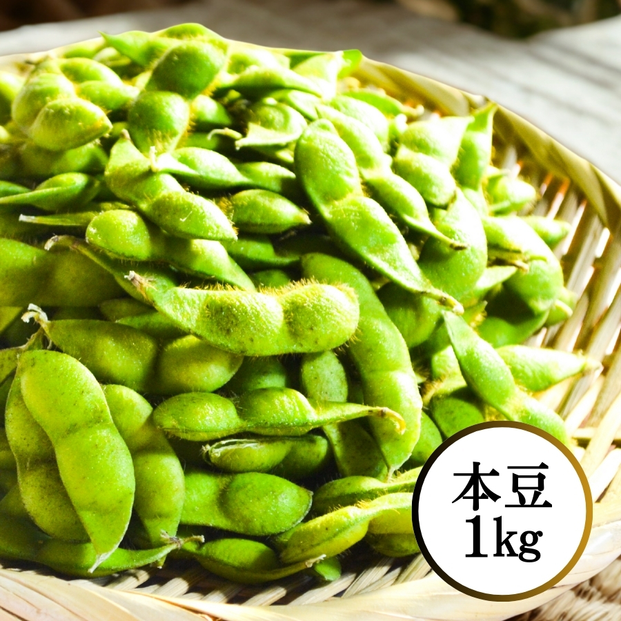 鶴岡産 白山だだちゃ豆 本豆1kg