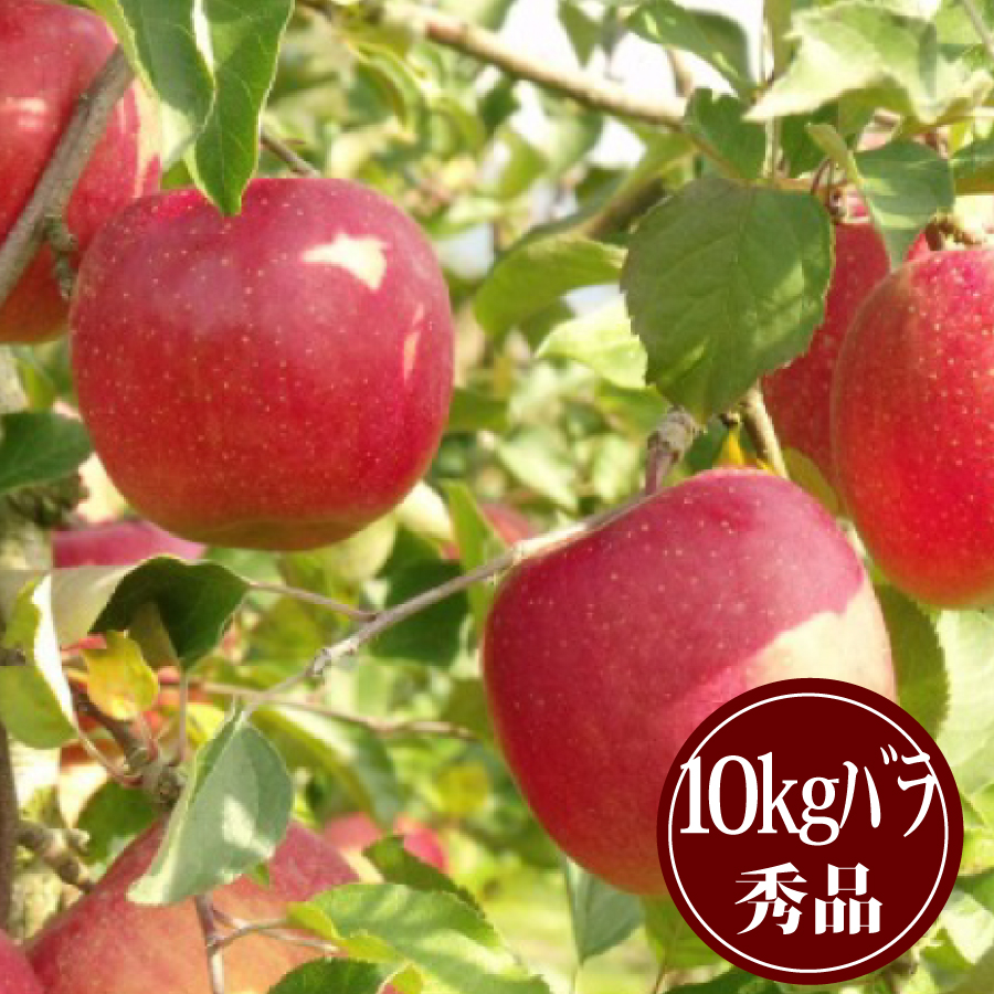 豊田のふじりんご10kgバラ詰 秀品