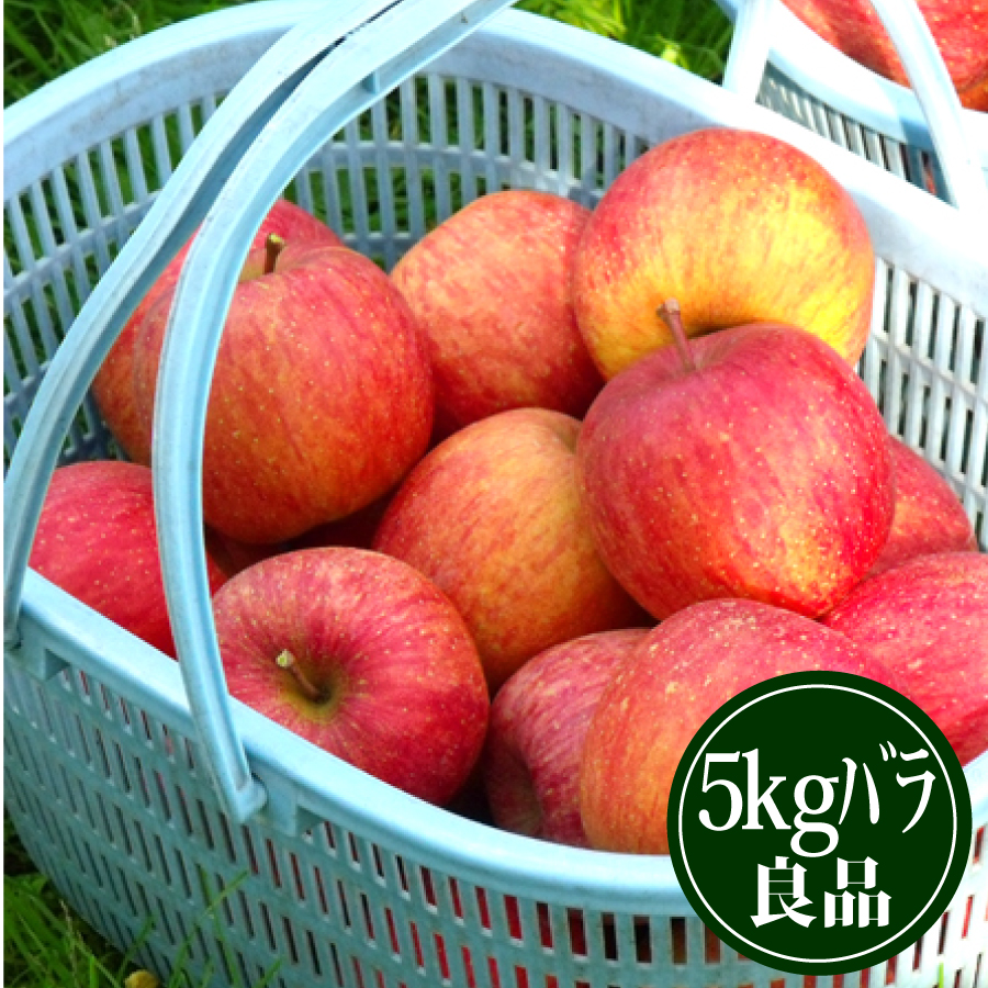 【R-7】豊田のふじりんご5kgバラ詰 良品