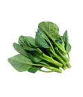 カイラン(カナー)(200g)/Chinese Kale