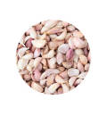 にんにく(タイガーリック)(100g)/Thai Garlic