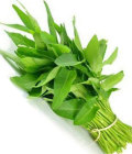 空芯菜(150g)/Morning Glory