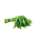 空芯菜 (500g)
