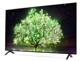 OLED48A1PJA LG　有機EL 4K　液晶テレビ