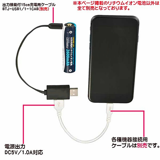 BTJ-1865026-LIT(08-1312) | 18650型2600mAhリチウム電池 防犯