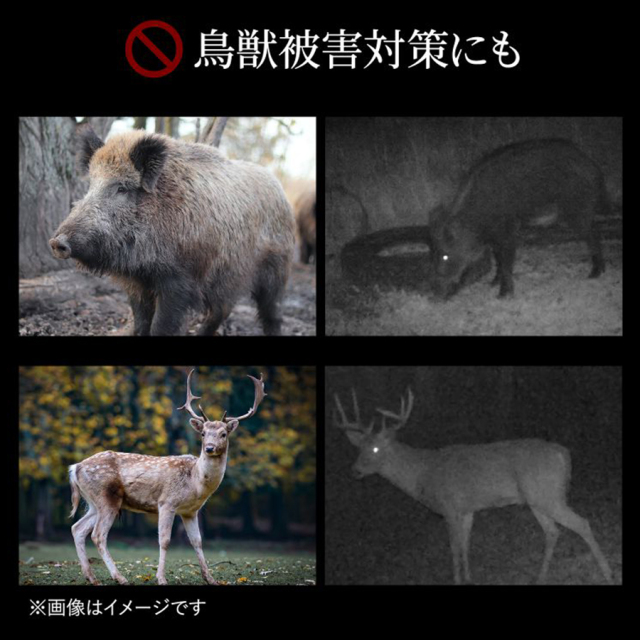 CMS-SC03GY トレイルカメラ 防犯カメラ 監視カメラ フィールドカメラ サンワサプライ