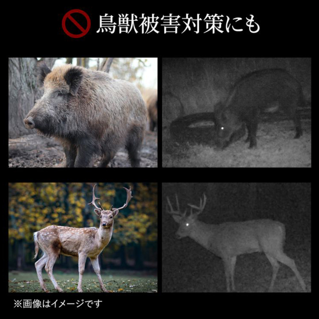CMS-SC06GY トレイルカメラ 防犯カメラ 監視カメラ フィールドカメラ サンワサプライ