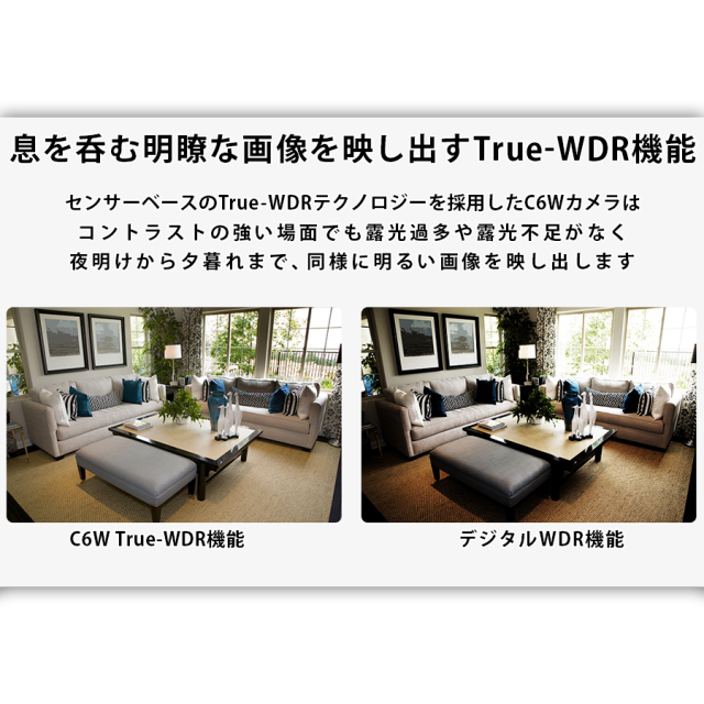 CS-C6W 防犯カメラ 監視カメラ ネットワークカメラ IPカメラ EZVIZ イージービズ