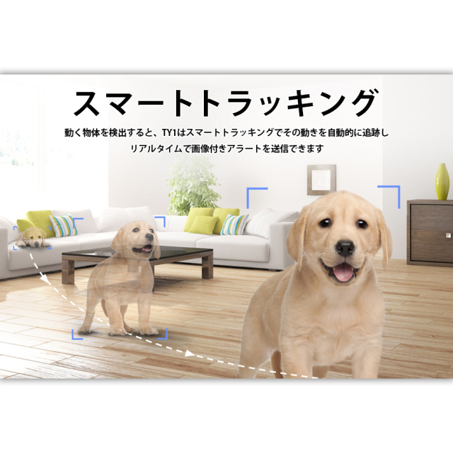CS-TY1(2.0MP) 防犯カメラ 監視カメラ ネットワークカメラ IPカメラ EZVIZ イージービズ
