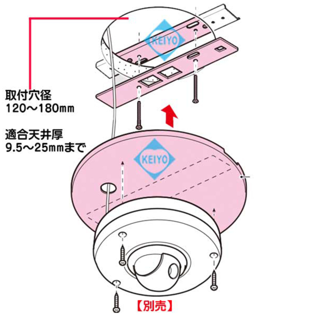 DLT-200 防犯カメラ 監視カメラ セキュリティーカメラ 未来工業 MIRAI