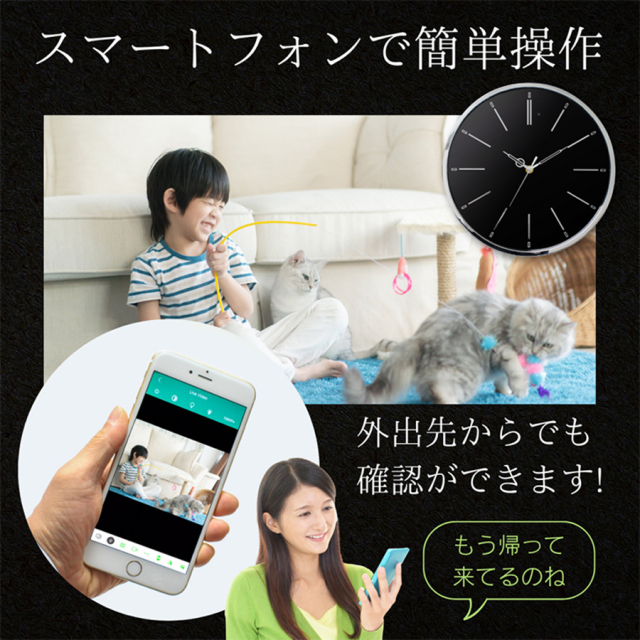 GS-WCC-01 WALL-CLOCK ウォールクロック スパイカメラ 小型カメラ 隠しカメラ 時計型カメラ 匠
