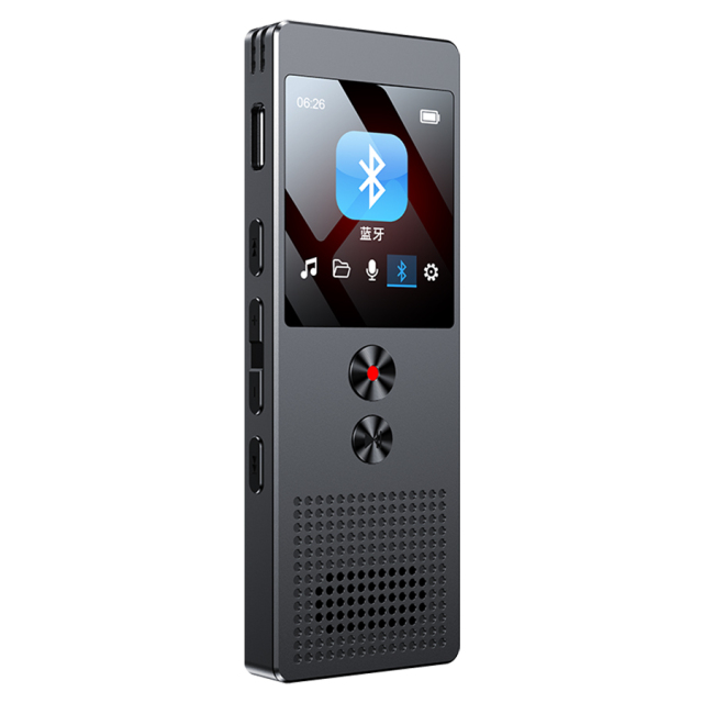GT-S01 ボイスレコーダー