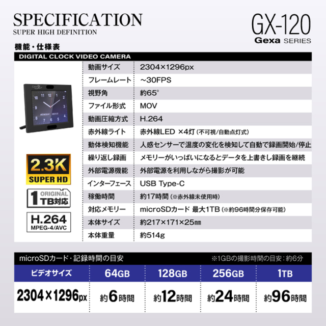 GX-120 小型カメラ 隠しカメラ スパイカメラ オンスクエア Gexa ジイエクサ