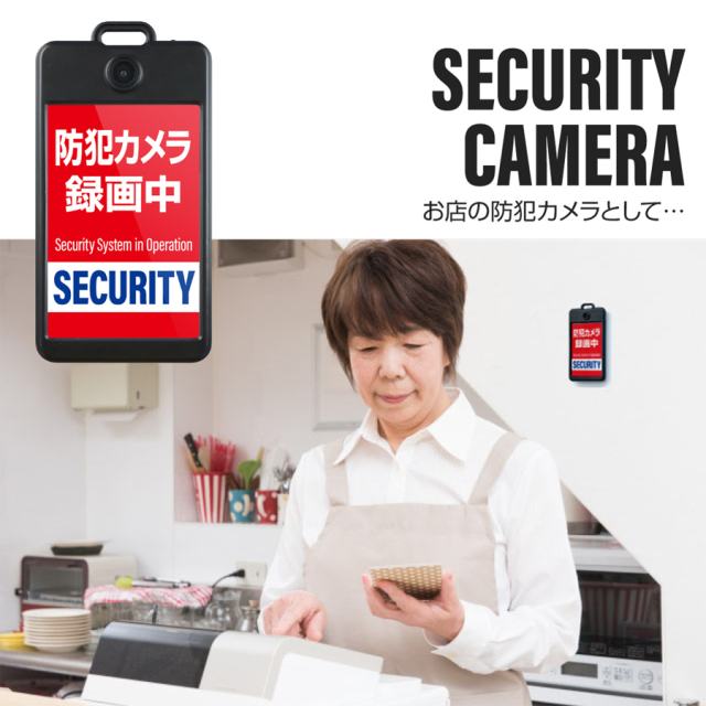 GX-303 小型カメラ スパイカメラ 隠しカメラ オンスクエア ジィエクサ Gexa