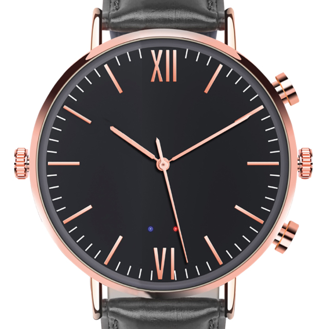 廃番]SL038(エスエル038) | 音声探知機能搭載腕時計擬装(偽装)型ボイス