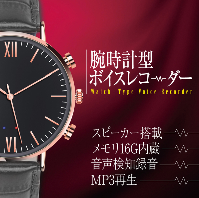 廃番]SL038(エスエル038) | 音声探知機能搭載腕時計擬装(偽装)型