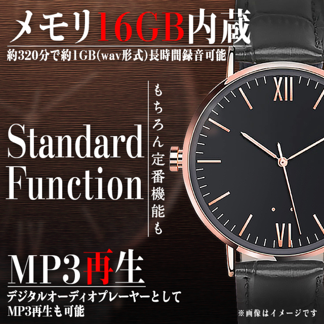 廃番]SL038(エスエル038) | 音声探知機能搭載腕時計擬装(偽装)型ボイス