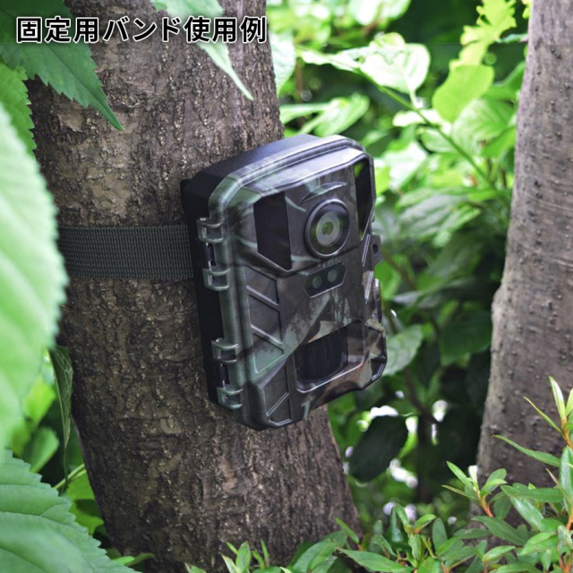 STR-MiNi800 防犯カメラ 監視カメラ トレイルカメラ サイトロン SIGHTRON