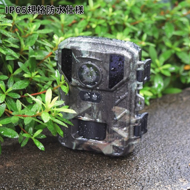STR-MiNi800 防犯カメラ 監視カメラ トレイルカメラ サイトロン SIGHTRON