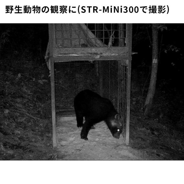 STR-MiNi800 防犯カメラ 監視カメラ トレイルカメラ サイトロン SIGHTRON