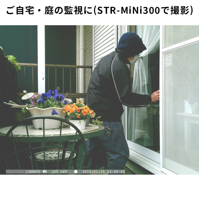STR-MiNi800 防犯カメラ 監視カメラ トレイルカメラ サイトロン SIGHTRON