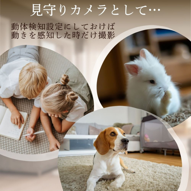 TK-MOD-34 基板型カメラ 基板カメラ 基板ユニット 小型カメラ 隠しカメラ スパイカメラ