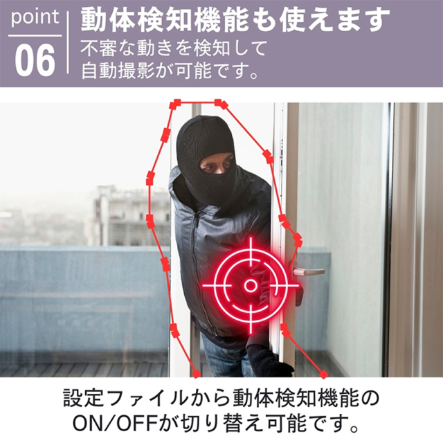 TK-USB-12 SeedEye シードアイ 小型カメラ スパイカメラ 隠しカメラ 匠ブランド