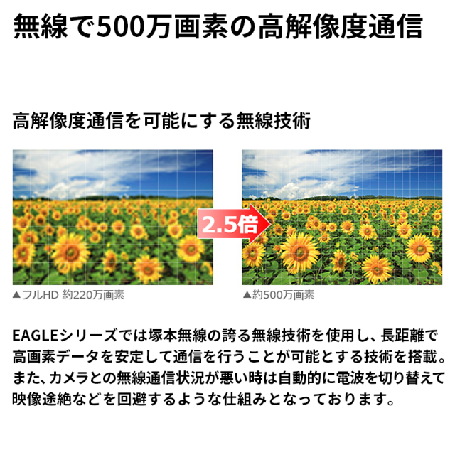 WTW-EG2610WHAX-15 防犯カメラ 監視カメラ ワイヤレスカメラ 無線カメラ 塚本無線 イーグル