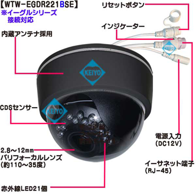 WTW-EGDR221BSE 防犯カメラ 監視カメラ セキュリティーカメラ 塚本無線