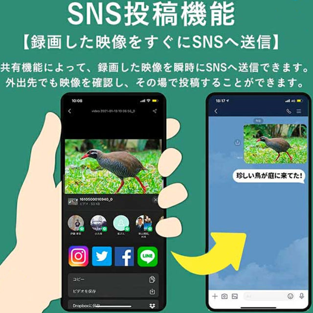 WTW-IPW188W(みてるちゃん2) 防犯カメラ 監視カメラ 塚本無線