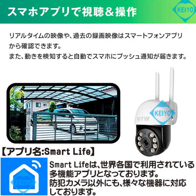 WTW-IPW2220T(ゴマちゃんS) 防犯カメラ 監視カメラ 塚本無線