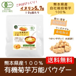有機菊芋万能パウダー　100g　【メール便で送料無料】熊本県産有機菊芋100％　焙煎なしの粉末　糖質　便秘　水溶性食物繊維　イヌリンたっぷり