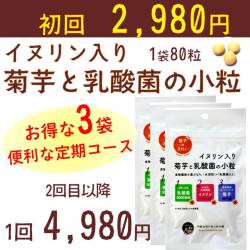 【定期コース】イヌリン入り　菊芋と乳酸菌の小粒3袋　【メール便対応商品】