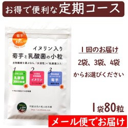 【定期コース】イヌリン入り　菊芋と乳酸菌の小粒【メール便対応商品】