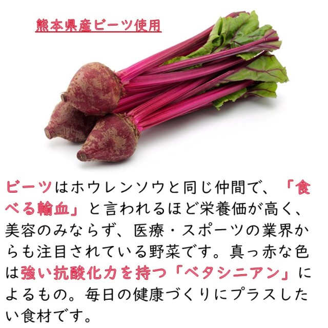 ビーツ イヌリン ヨーグルト用菊芋パウダー