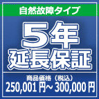 SOMPOワランティー ５年延長保証　250,001円～300,000円の商品をご購入の方