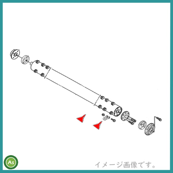 IHI　イチョウ爪T