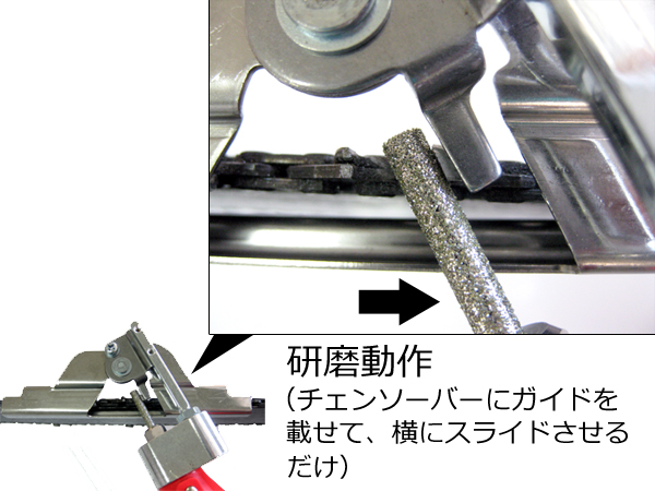 ニシガキ 目立