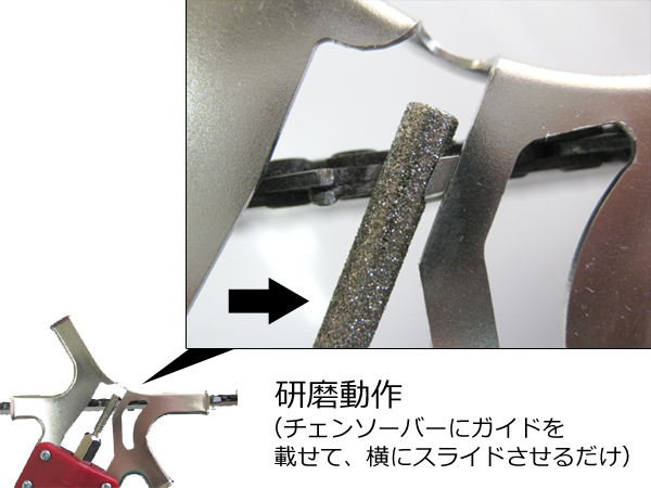 ニシガキ 目立