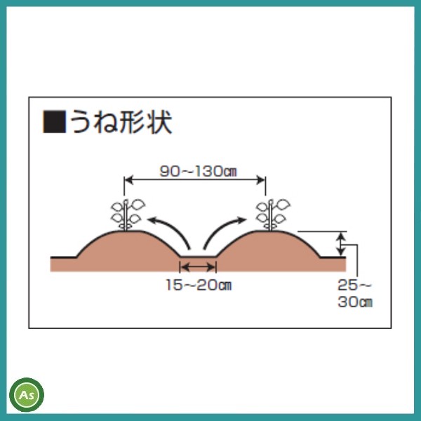黒大豆土寄せセット