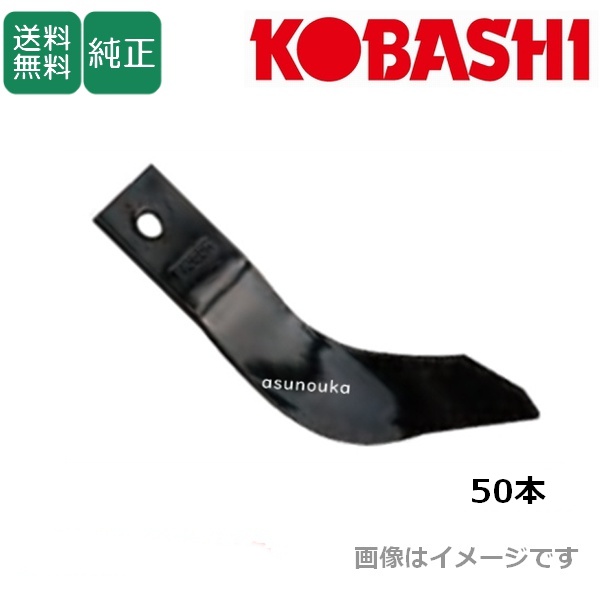 パディハロー