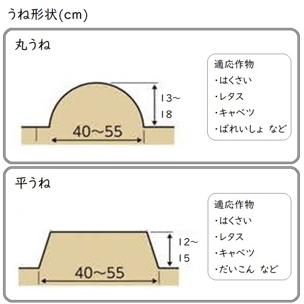 うちもりくん